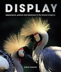 Display - MPHOnline.com