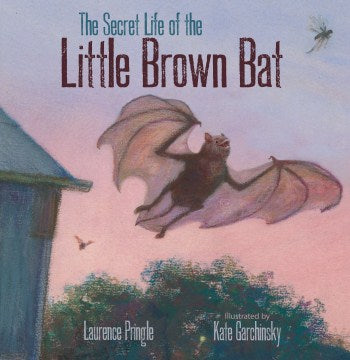 The Secret Life of the Little Brown Bat - MPHOnline.com