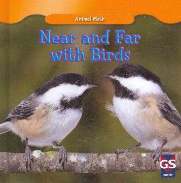 Near and Far with Birds - MPHOnline.com