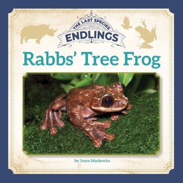 Rabbs' Tree Frog - MPHOnline.com