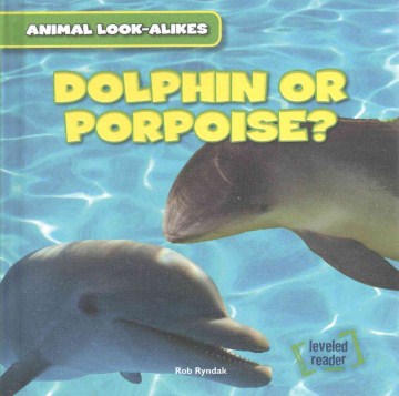 Dolphin or Porpoise? - MPHOnline.com