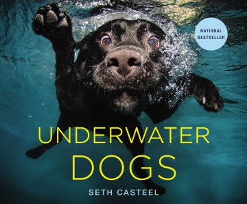 Underwater Dogs - MPHOnline.com