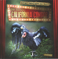 The Bizarre California Condor - MPHOnline.com