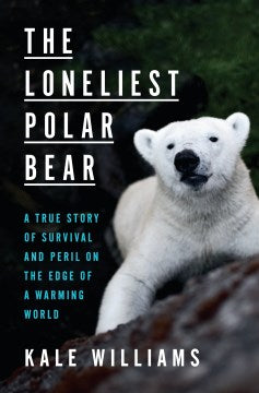 The Loneliest Polar Bear - MPHOnline.com