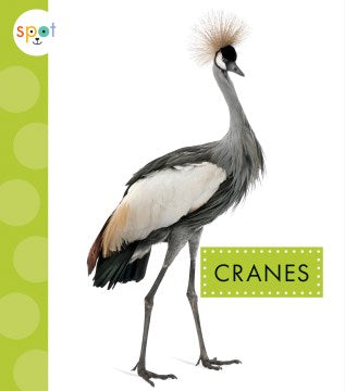 Cranes - MPHOnline.com