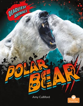 Polar Bear - MPHOnline.com