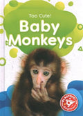 Baby Monkeys - MPHOnline.com