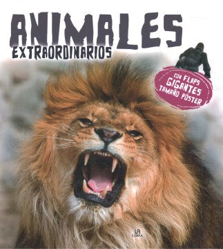 Animales extraordinarios / Extraordinary Animals - MPHOnline.com