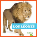 Los leones / Lions - MPHOnline.com