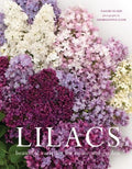 Lilacs - MPHOnline.com