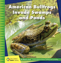 American Bullfrogs Invade Swamps and Ponds - MPHOnline.com