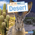 Day and Night in the Desert - MPHOnline.com