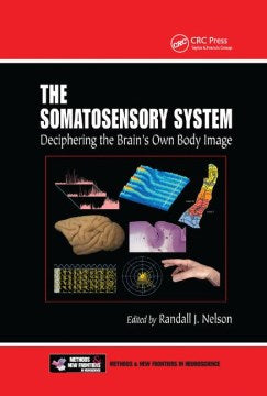 The Somatosensory System - MPHOnline.com