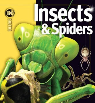 Insects & Spiders - MPHOnline.com