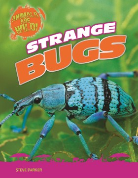 Strange Bugs - MPHOnline.com