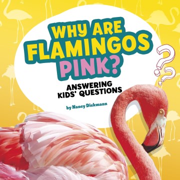 Why Are Flamingos Pink? - MPHOnline.com