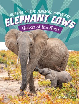 Elephant Cows - MPHOnline.com