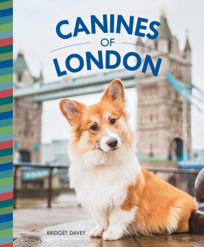 Canines of London - MPHOnline.com