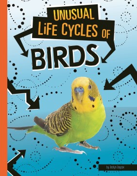 Unusual Life Cycles of Birds - MPHOnline.com