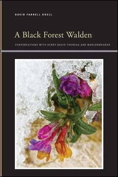 A Black Forest Walden - MPHOnline.com