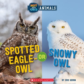 Spotted Eagle-Owl or Snowy Owl - MPHOnline.com