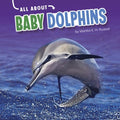 All About Baby Dolphins - MPHOnline.com