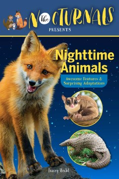 The Nocturnals Presents Nighttime Animals - MPHOnline.com