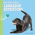 Fast Facts About Labrador Retrievers - MPHOnline.com