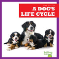 A Dog's Life Cycle - MPHOnline.com