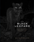 Black Leopard - MPHOnline.com