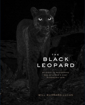 Black Leopard - MPHOnline.com