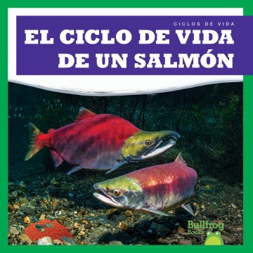 El ciclo de vida de un salmon/ A Salmon's Life Cycle - MPHOnline.com