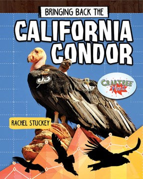 Bringing Back the California Condor - MPHOnline.com