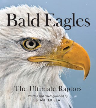 Bald Eagles - MPHOnline.com