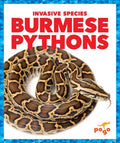 Burmese Pythons - MPHOnline.com