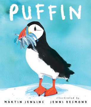 Puffin - MPHOnline.com