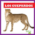 Los guepardos / Cheetahs - MPHOnline.com