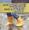 ?Est? mojado? / What Is Wet? - MPHOnline.com