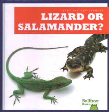 Lizard or Salamander? - MPHOnline.com