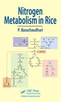 Nitrogen Metabolism in Rice - MPHOnline.com