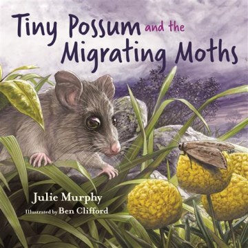 Tiny Possum and the Migrating Moths - MPHOnline.com