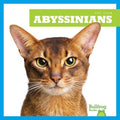 Abyssinians - MPHOnline.com