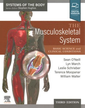 The Musculoskeletal System - MPHOnline.com