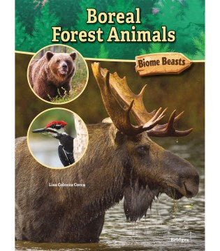 Boreal Forest Animals - MPHOnline.com