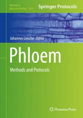 Phloem - MPHOnline.com