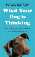 What Your Dog Is Thinking - MPHOnline.com