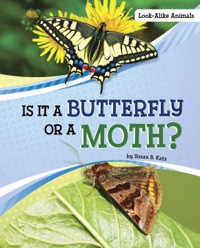 Is It a Butterfly or a Moth? - MPHOnline.com