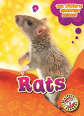 Rats - MPHOnline.com