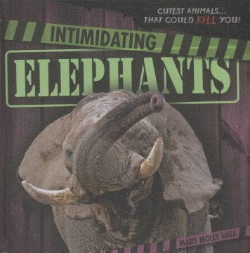 Intimidating Elephants - MPHOnline.com