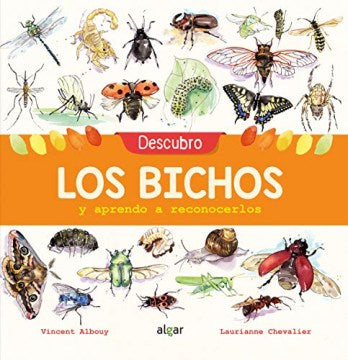 Descubro los bichos / Discovering Insects - MPHOnline.com